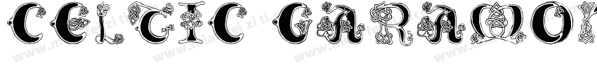 Celtic garamond字体转换